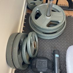 Barbell, Plates, Dumbbell, Bench, Pull up Bar