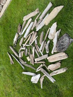 Collection of driftwood