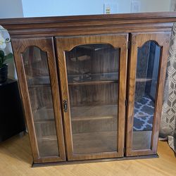 Oak Cabinet/Bookshelf with Built In Light