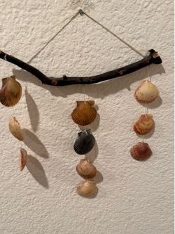 Wall hanging driftwood coastal decor seashells 9” w x 12” long
