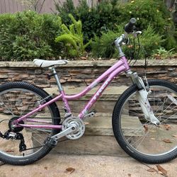 24” Trek MT 220 Bike