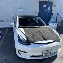 Auto Glass