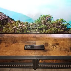 55" Samsung TV with Vasagle TV Stand