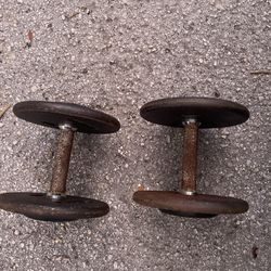 25 Lbs Dumbells