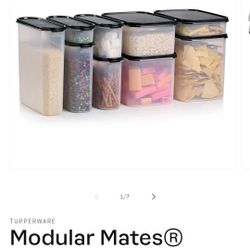 Tupperware Modular Mates