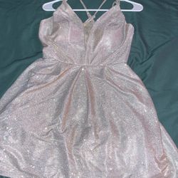 Formal Dress And Fur Shawl