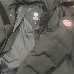 Canada goose (small)