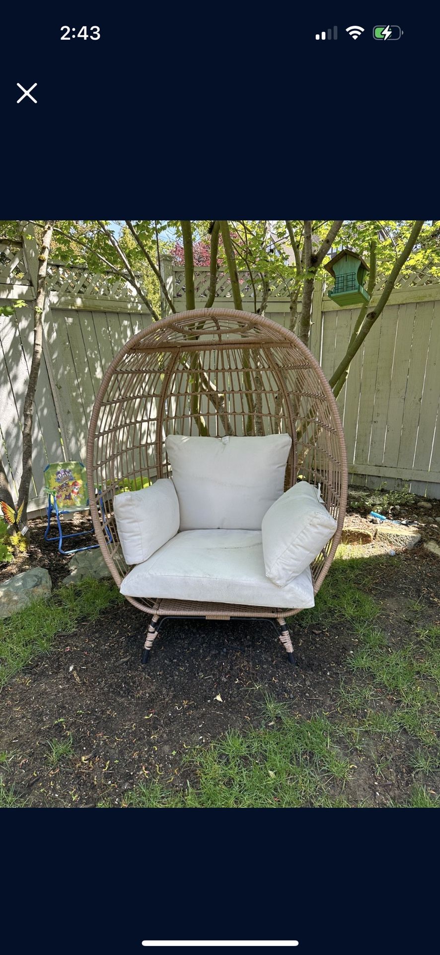 Egg Chair With Cushions $100