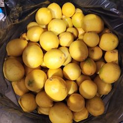 Limes & Lemos