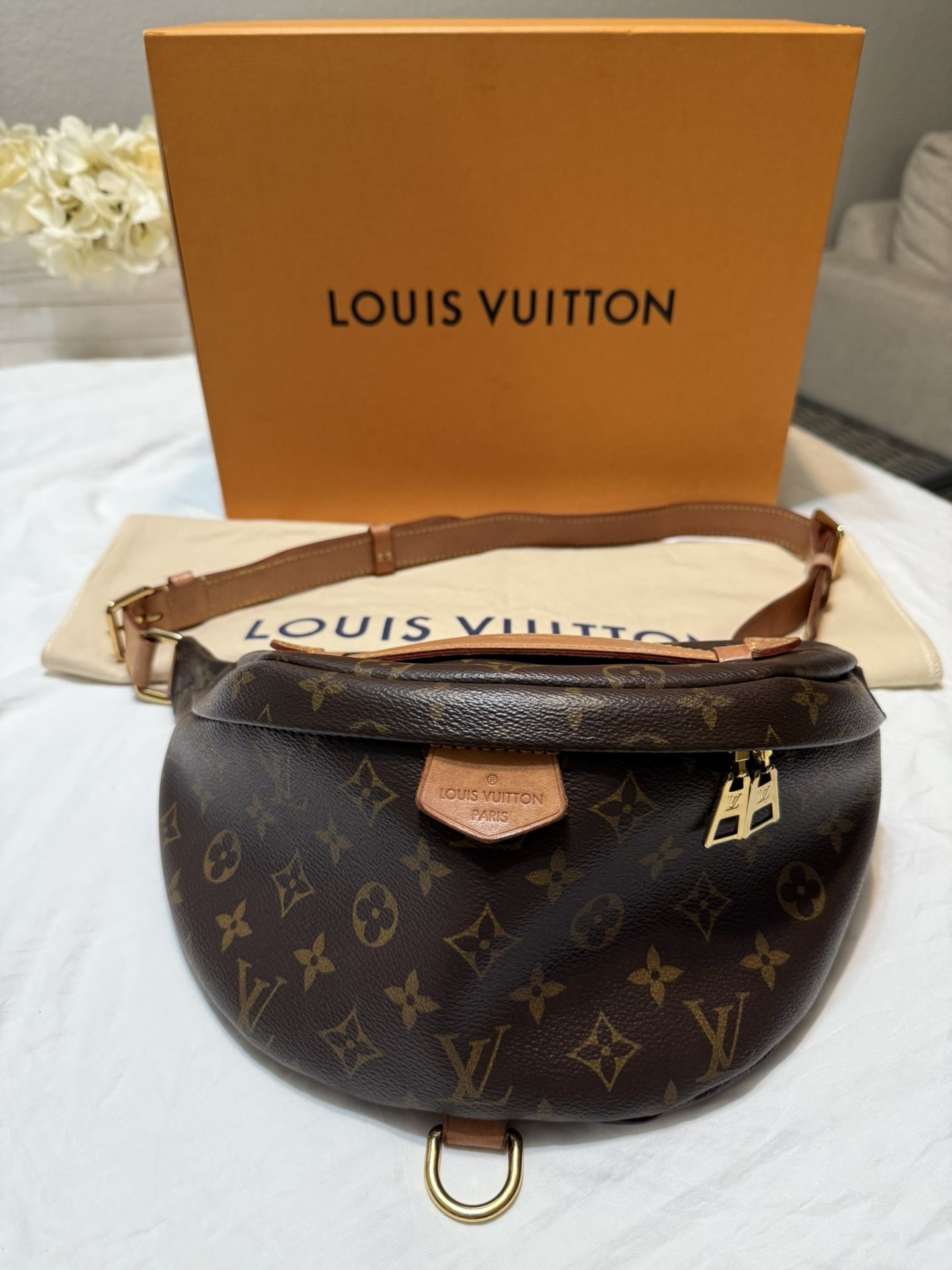 Louis Vuitton Monogram Bumbag