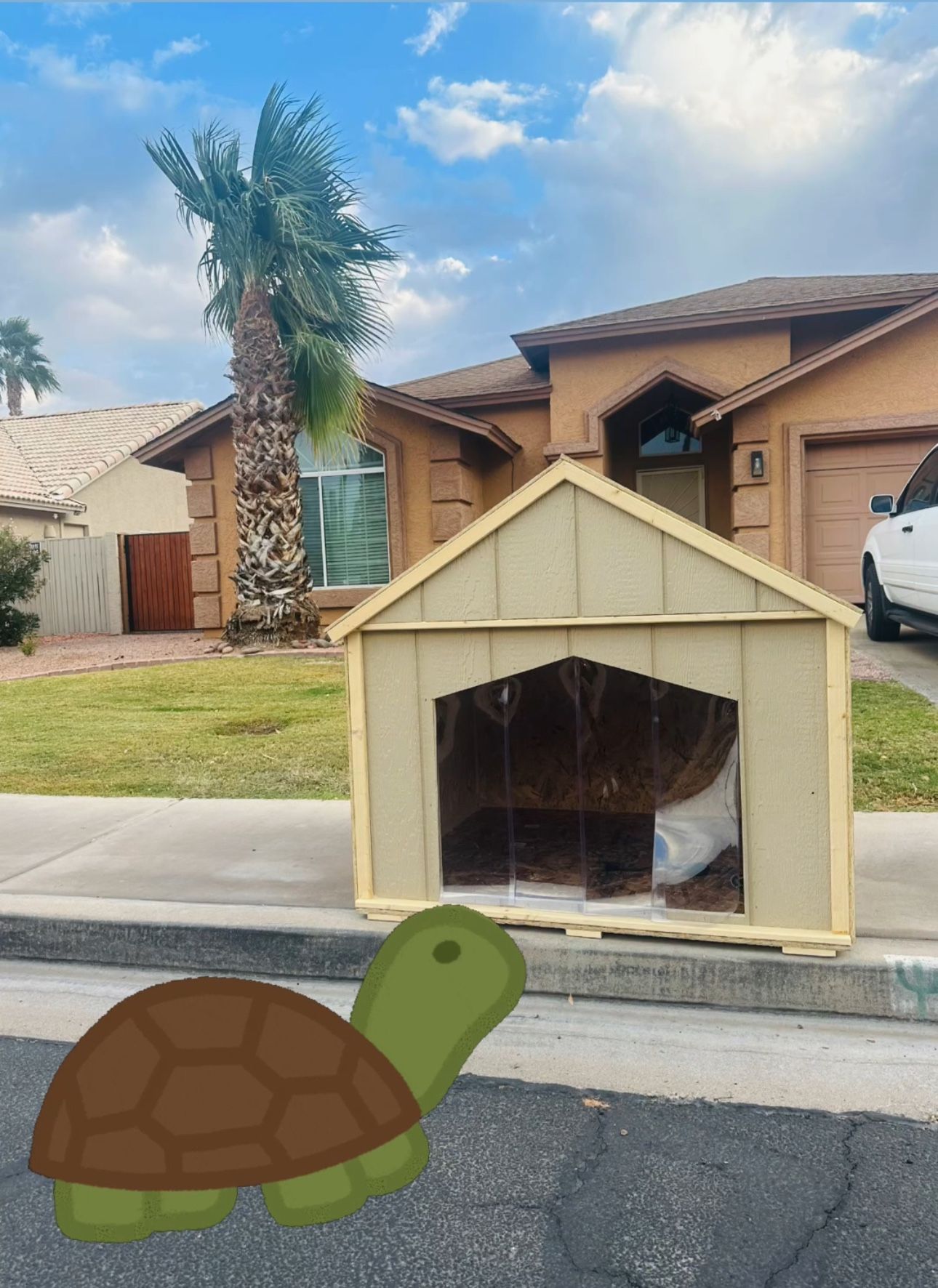 House For Turtle π’