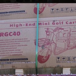 Electric Trike Brand New 