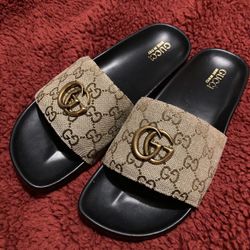 Slides 