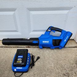 Kobalt Blower