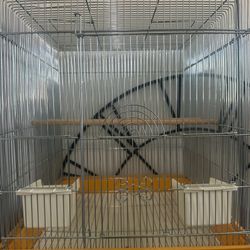 Cage Birds 