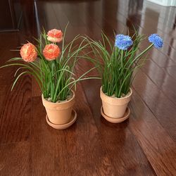 2 Flower Pots  Decoration 