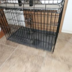 ICrate 2 Door 36 Inch Dog CRATE