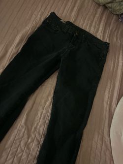 True religion  pants