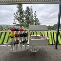 Candy Cart and Flower/Bloom Bar