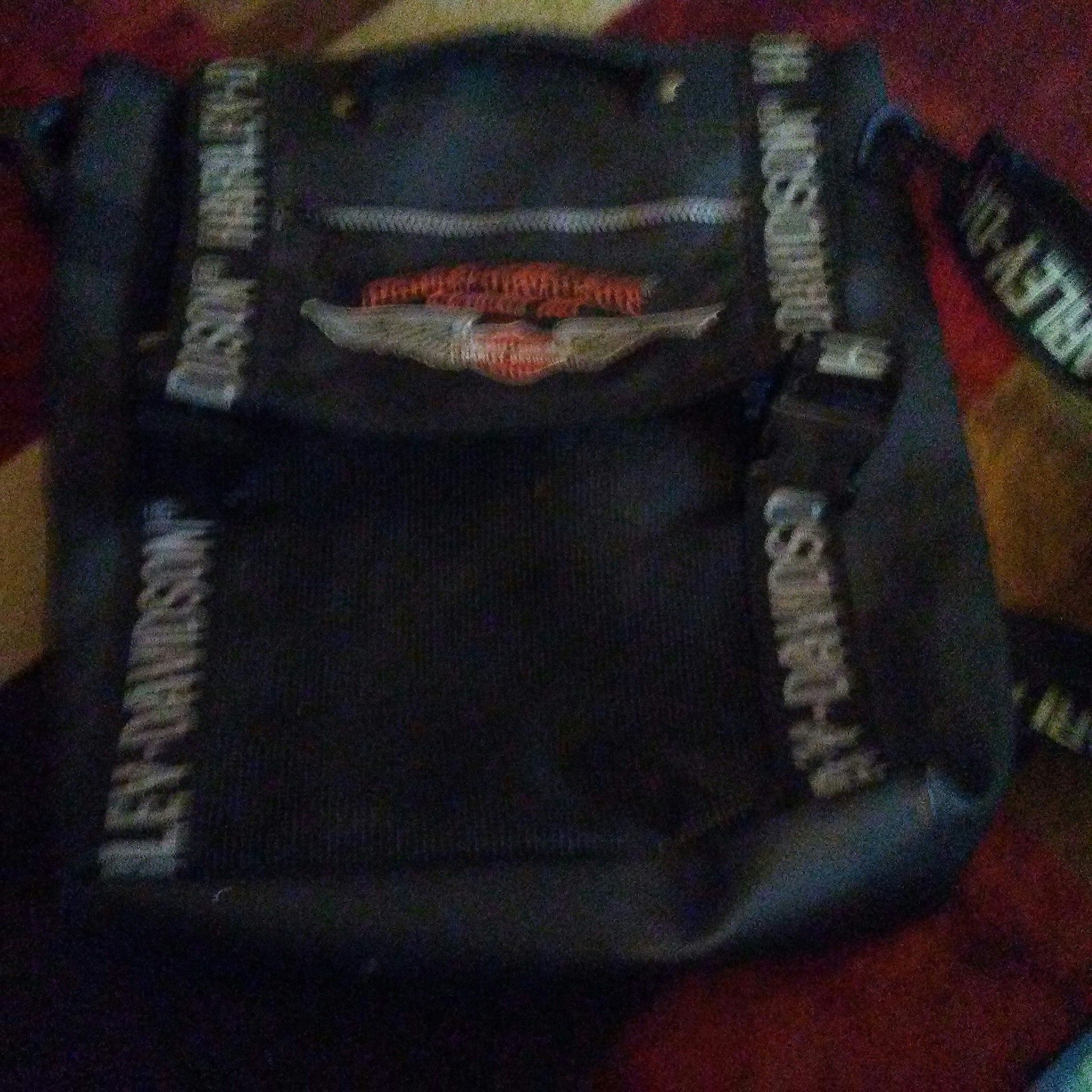 Harley Davidson bag