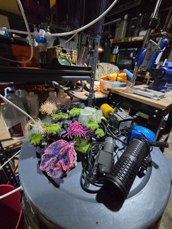 Internal 2 stage filter, nano protien skimmer, pumps, custom decor.