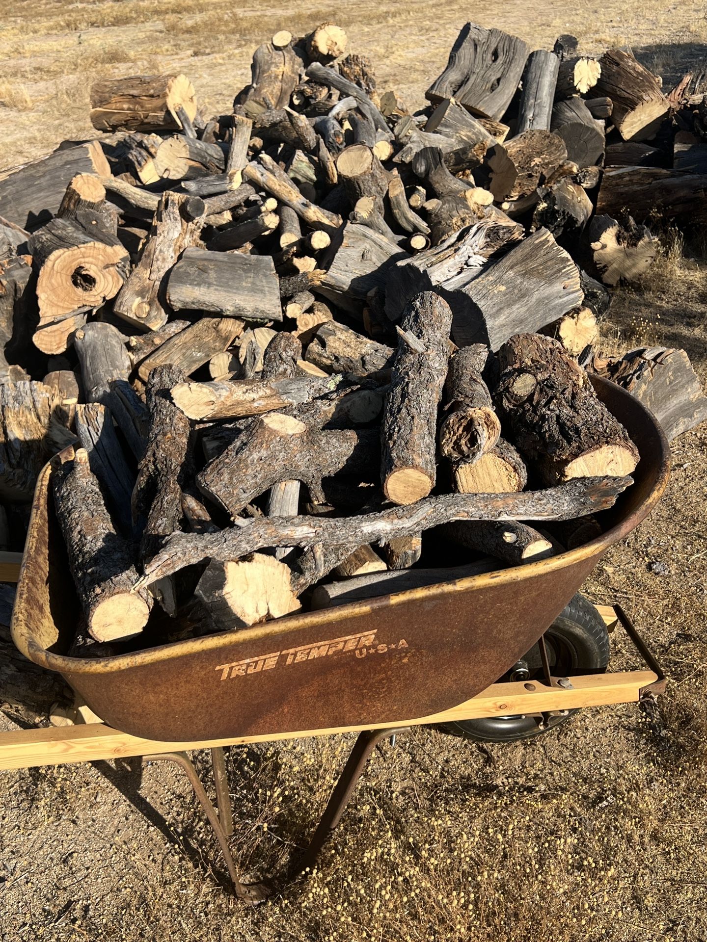 Pinyon Pine Firewood 