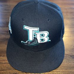 tampa bay rays 10 seasons fitted (BRAND NEW)