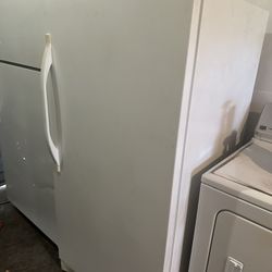 Frost free freezer works great. We sell all the time delivery extra.