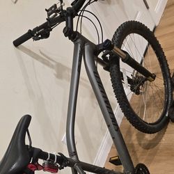 Specialized Mountain Bike