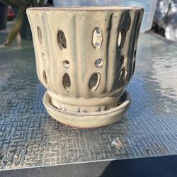 Orquid Planter