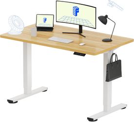 Flexispot Standing Desk 48" X 24 "