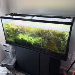 55 Gallon Fishtank Aquarium