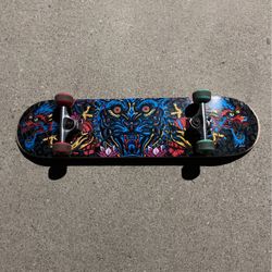 Tony Hawk Skateboard