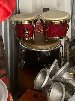 Bongo