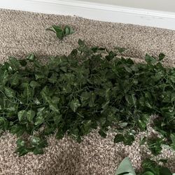 Jungle party Decorations And Costumes 