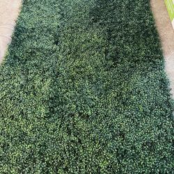 Grassy Wall!