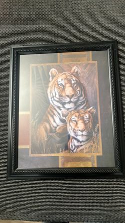 Tiger and lion frame