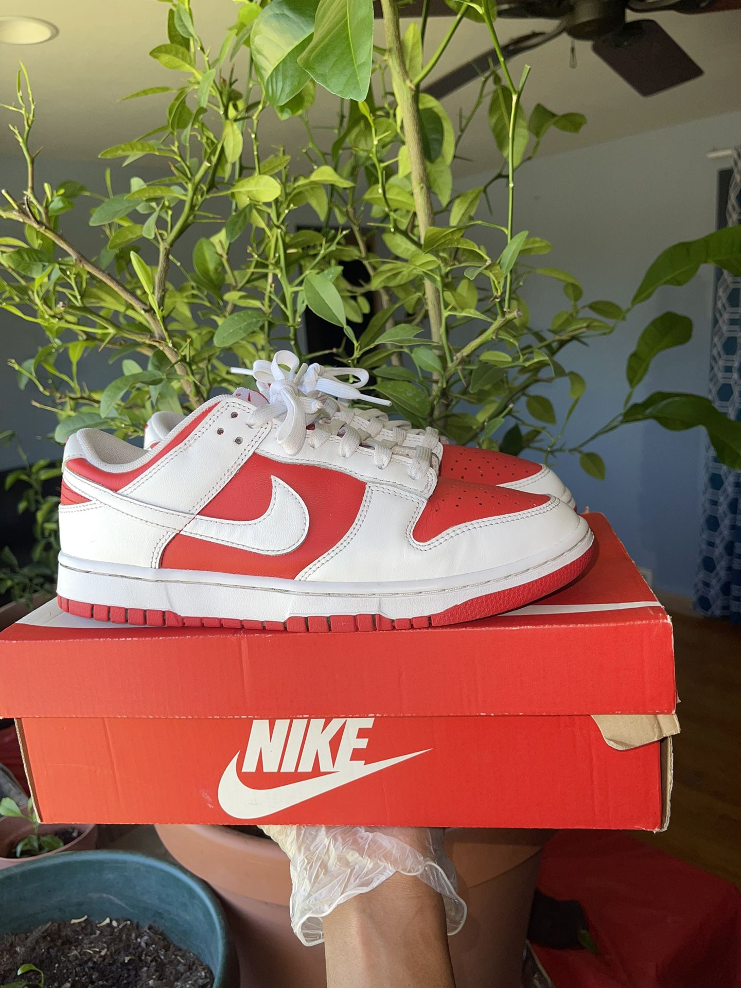 Nike Dunk Low (championship Red)