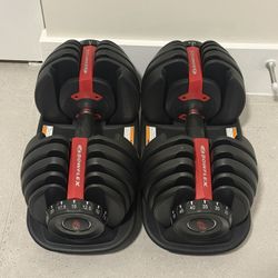 BowFlex SelectTech Adjustable Dumbbells - Results Series 552