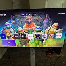 Vizio 55 Smart Tv  