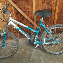 Magna Bike
