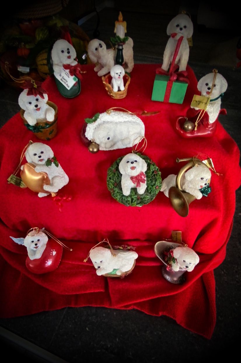 13 - Danbury Mint Bichon Frise Christmas Ornaments 