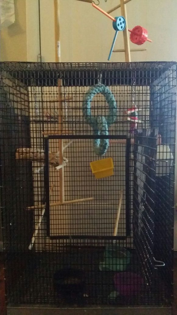Bird cage with toys and other stuff all for just $40