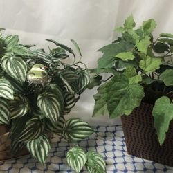 Beautiful Greenery In Brass and Cooper Vases