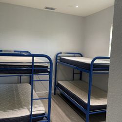 Twin Bunk Beds 