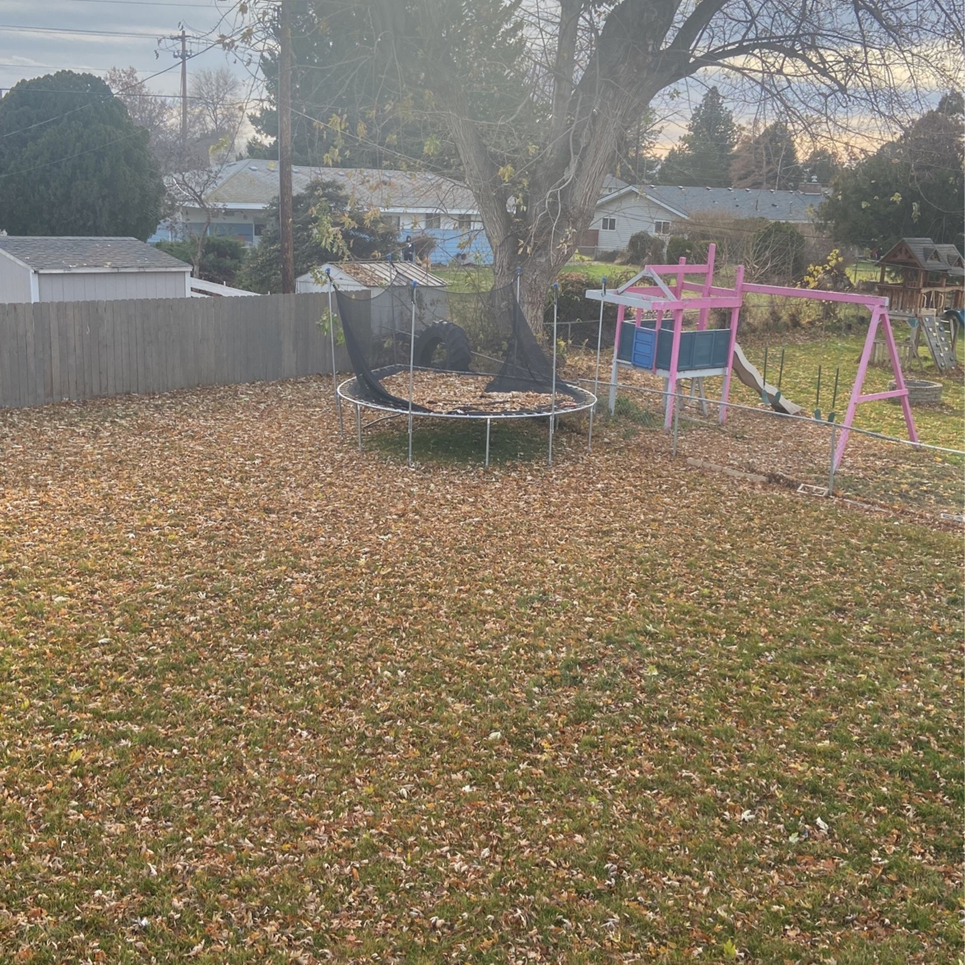 Trampoline