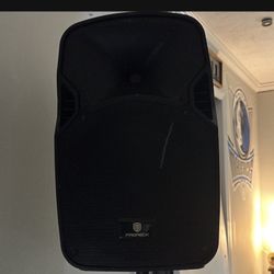 Proreck Party 12 Professional Speakers