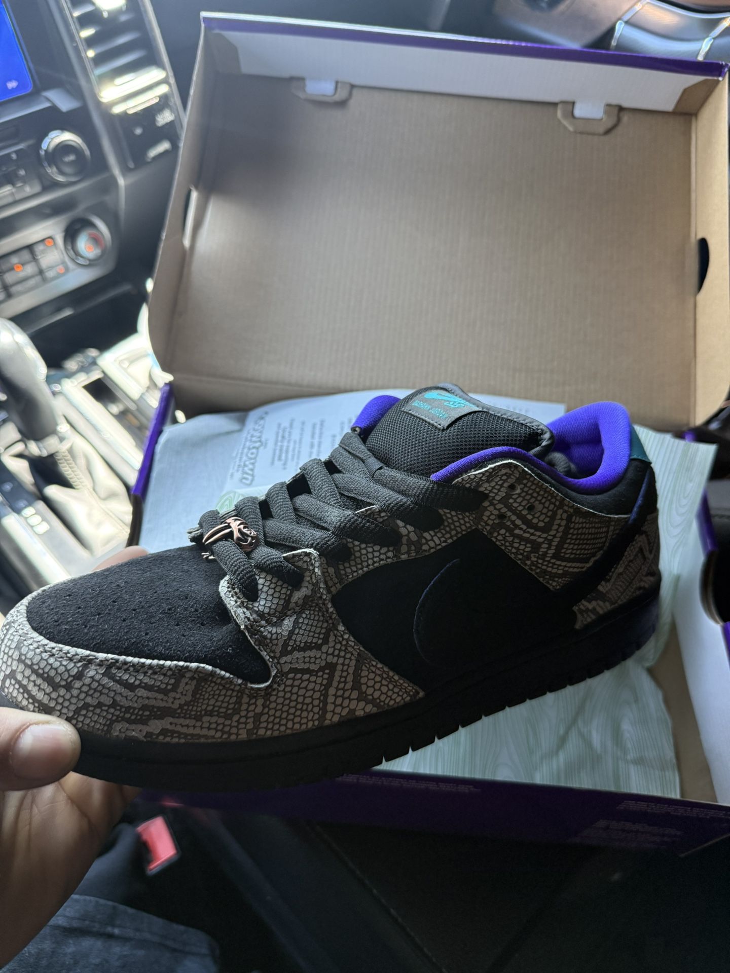 Deshawn Jordan Nike Sbs