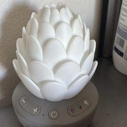 Light & Sound Machine 