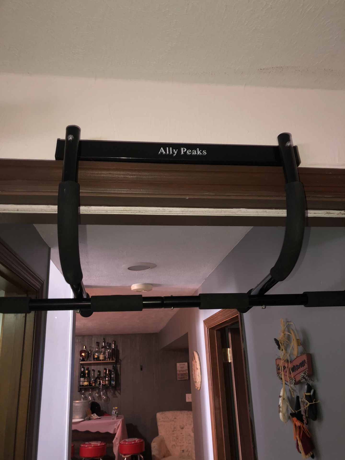 Ally Peak Pull Up Bar